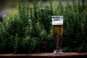 Pilsner Beer: Light Or Dark?