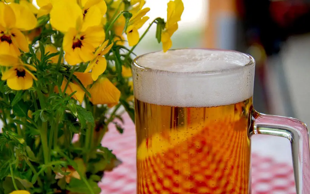 Which Ginger Ale Has The Least Sugar?