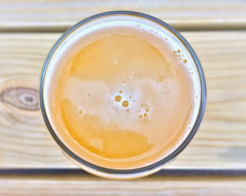 What Is The Alcohol Content Of Mac And Jack's African Amber? [2024]