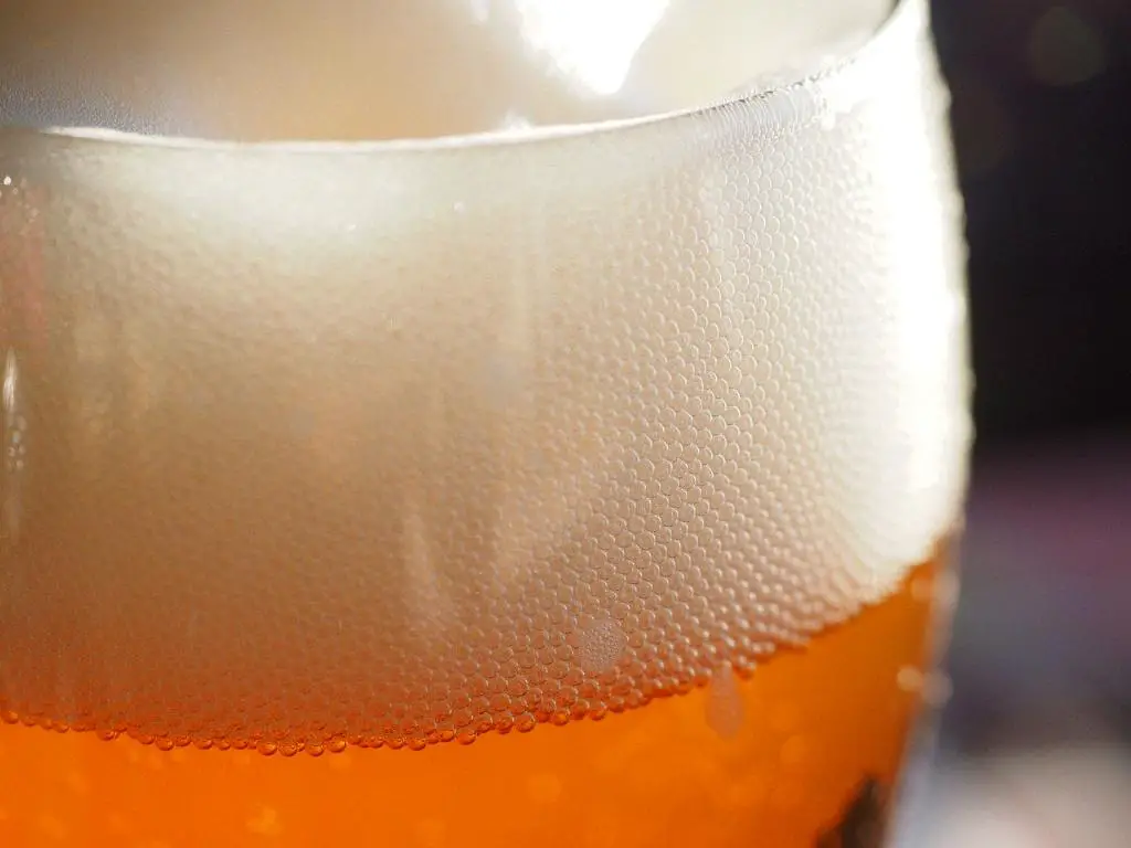 Where Is The Original Dogfish Head Brewery?