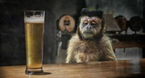 What Is Hermanaki?