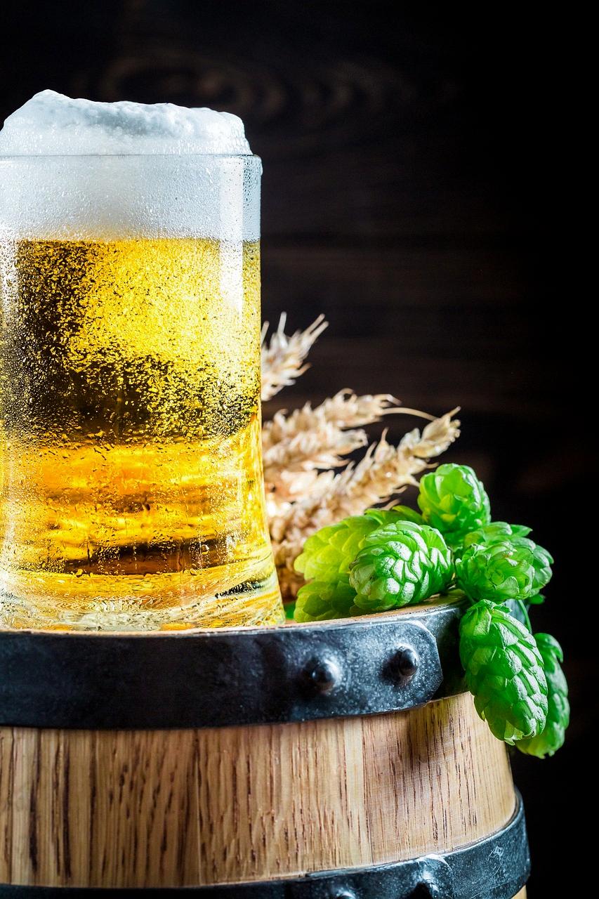 What Is The History Of ALE Solutions?