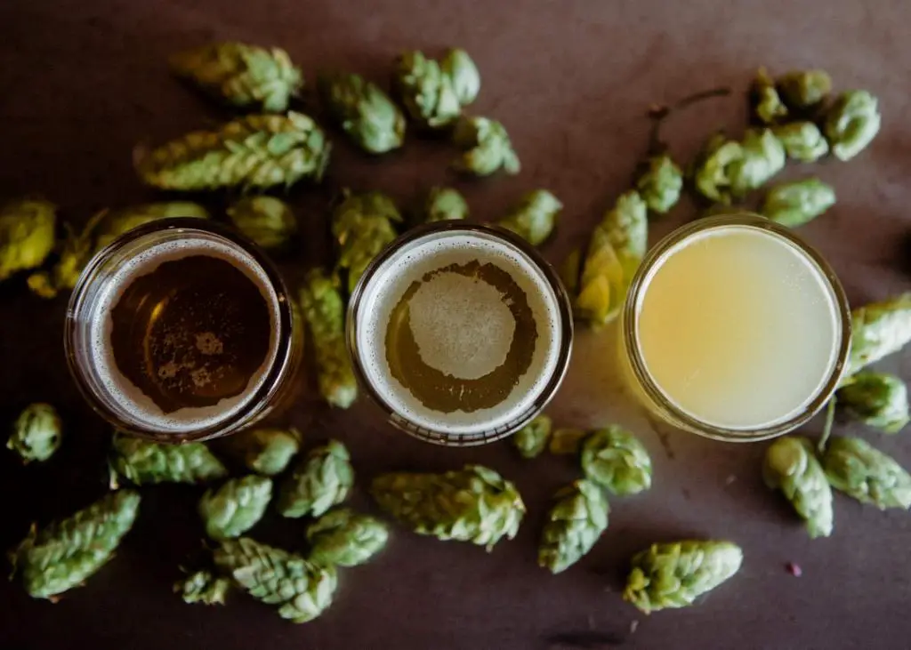 Is Guiness An Ale Or Lager?