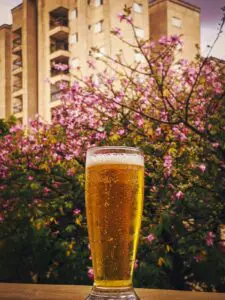 What Is A Kolsch Beer Taste Like?
