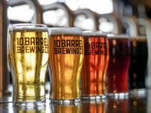 Why Is Cantillon So Expensive?