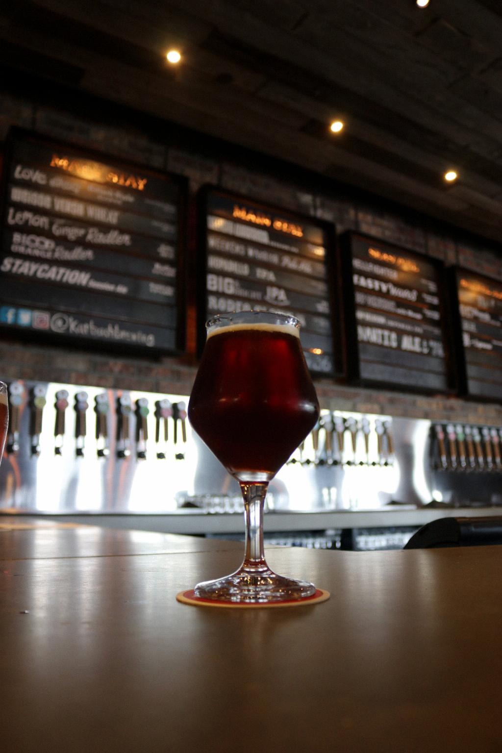 What Is The Difference Between Lager And Bitter? [2024]