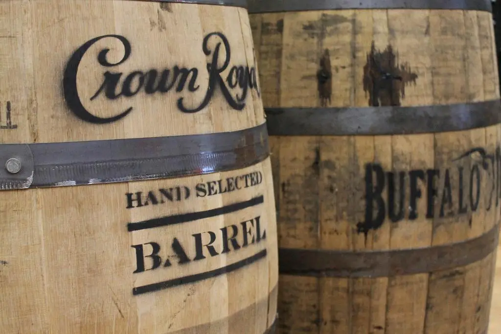What Is The Temperament Of A Bourbon Red Turkey?