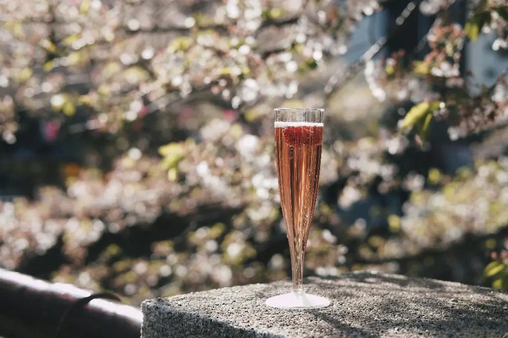 How Do You Pronounce Roederer?
