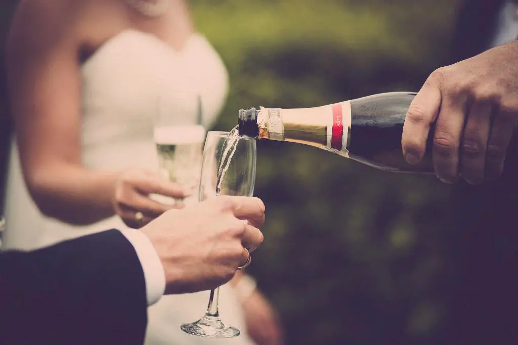 What Is A Champagne Pitbull?