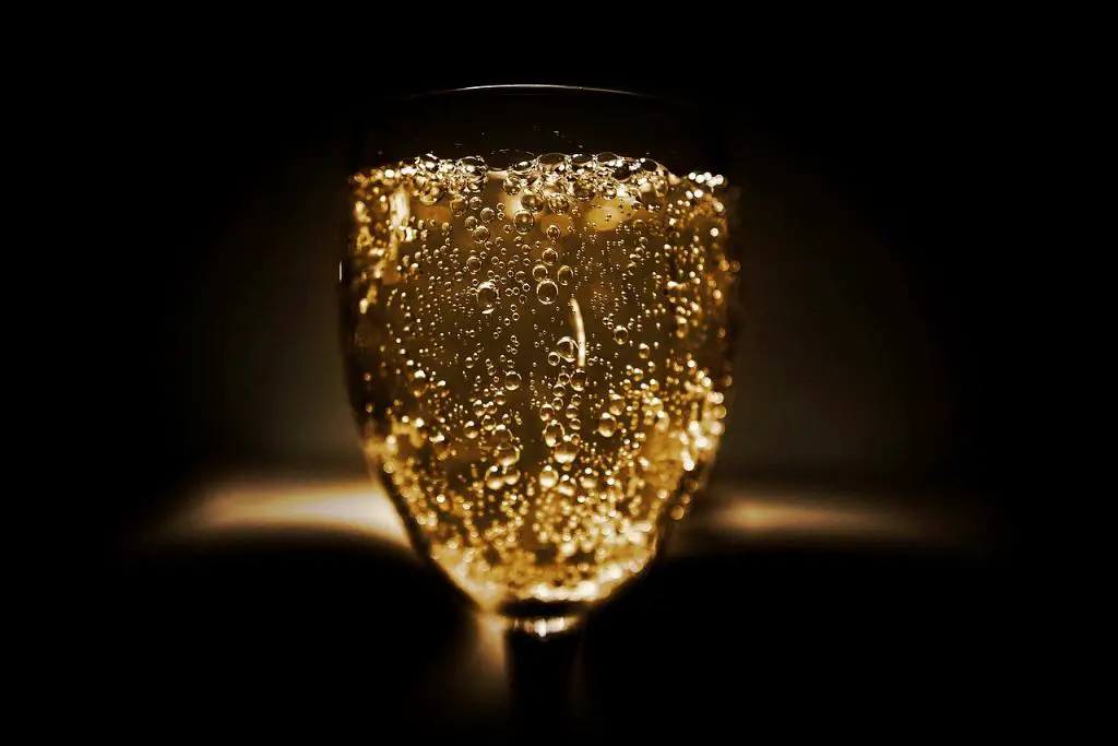 What Is The Difference Between Blanc De Blanc And Blanc De Noir?