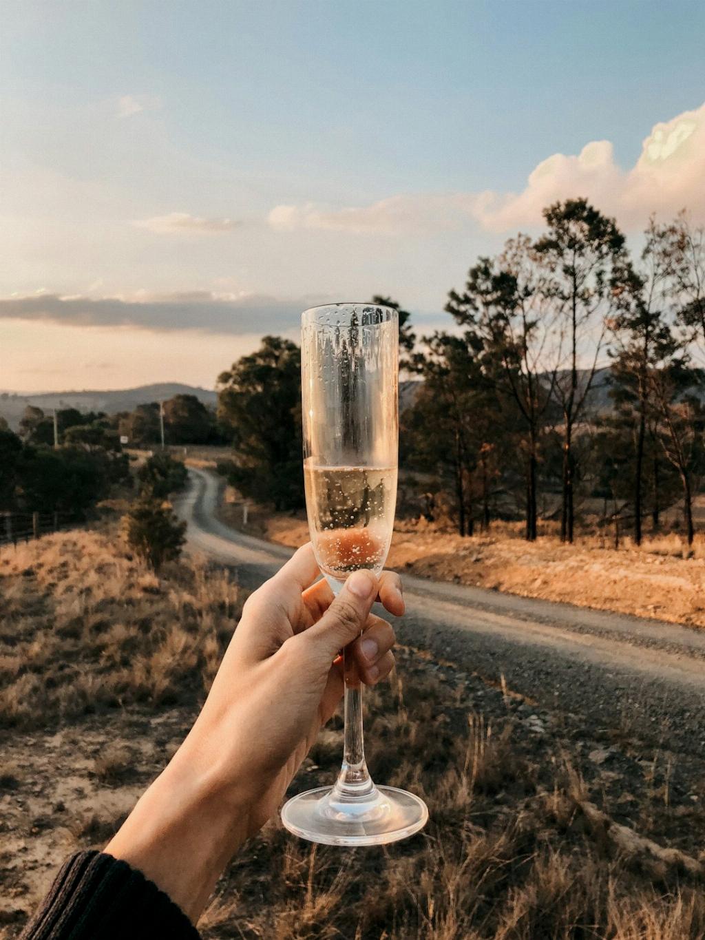 What Is A Champagne Press?