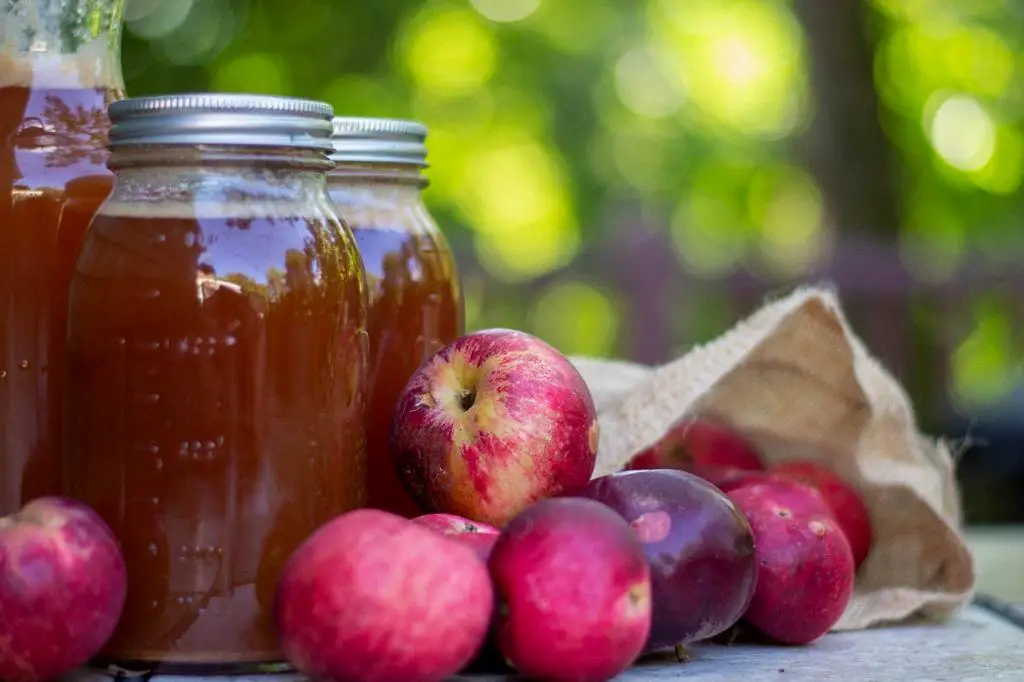 How Do You Give Goats Apple Cider Vinegar?
