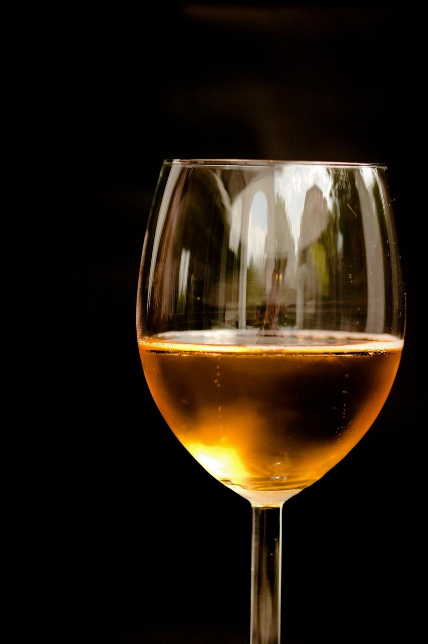 Can You Put Apple Cider Vinegar On A Cat's Wound? [2024]