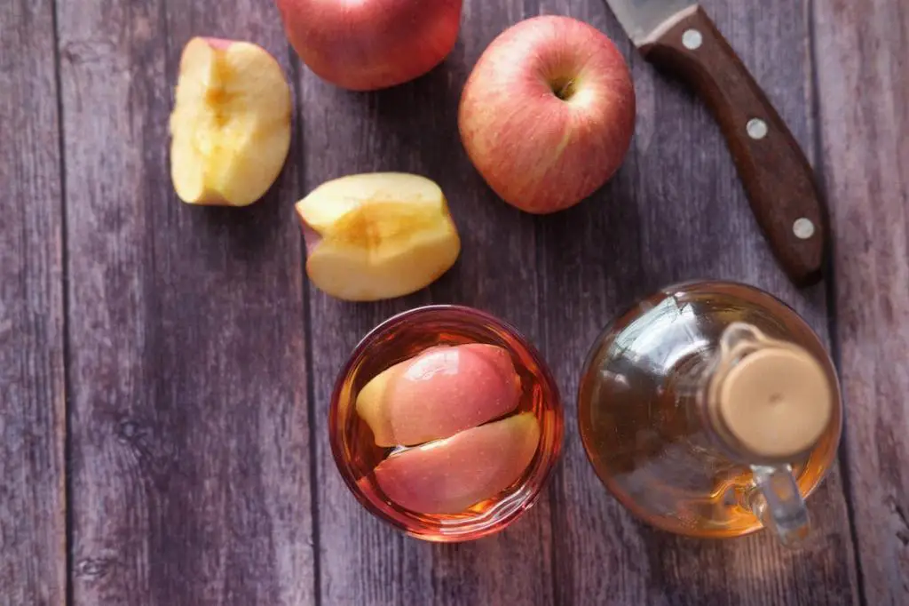 How Should You Mix Apple Cider Vinegar With Water?
