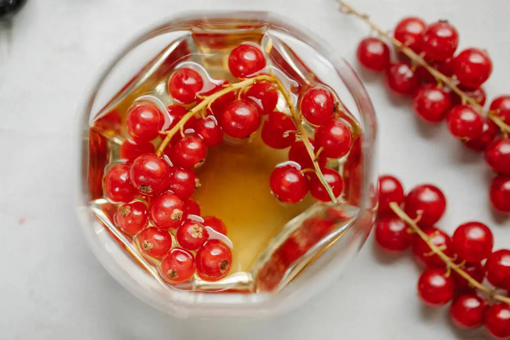 What Is A Good Substitute For Cognac In A Sidecar?