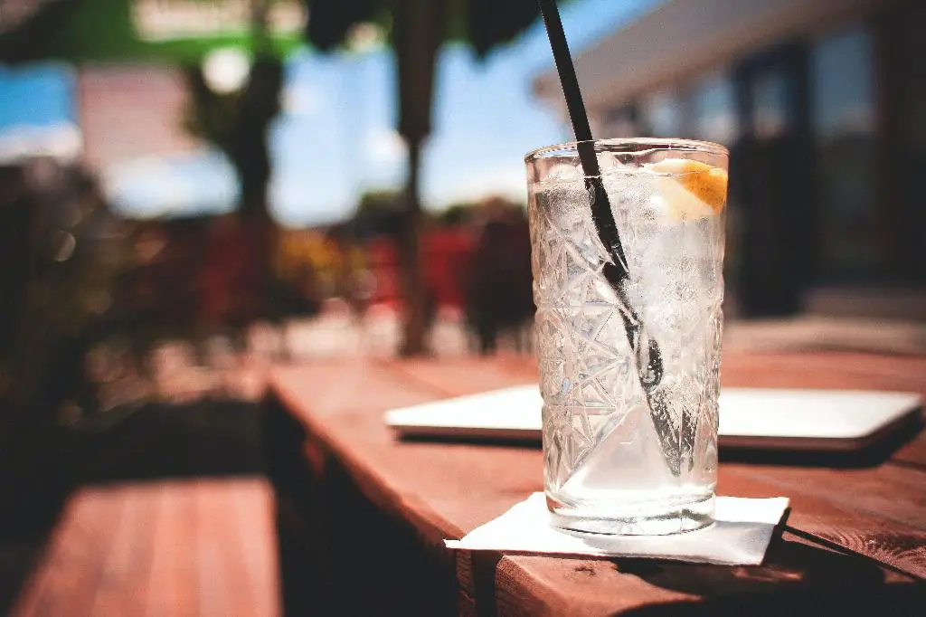 What Does Infused Gin Mean?