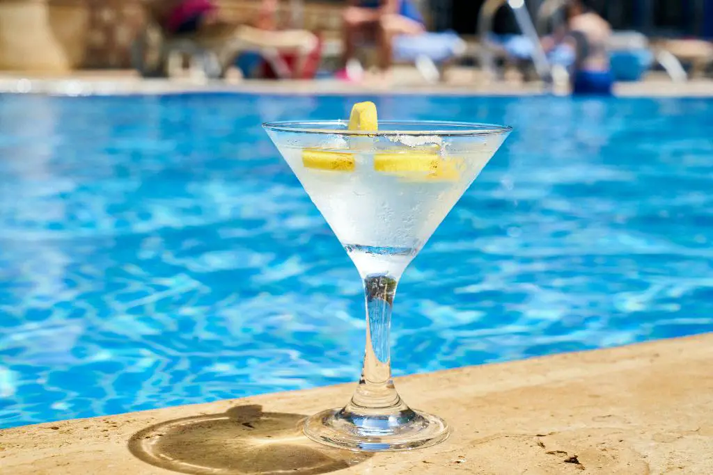 What Is The Best London Dry Gin?