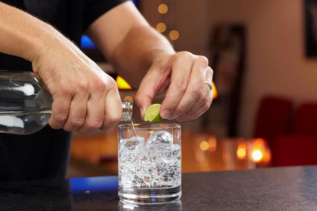 Who Is The Owner Of Bare Bone Vodka?