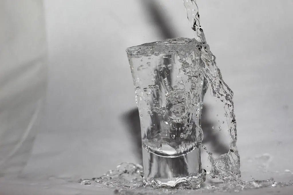 What Makes Vodka Not Kosher?