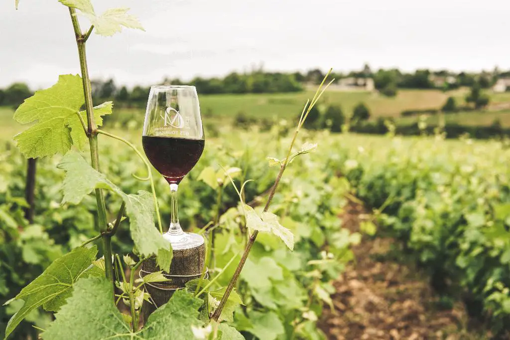 How Many 2 Oz Pours In A Bottle Of Wine?