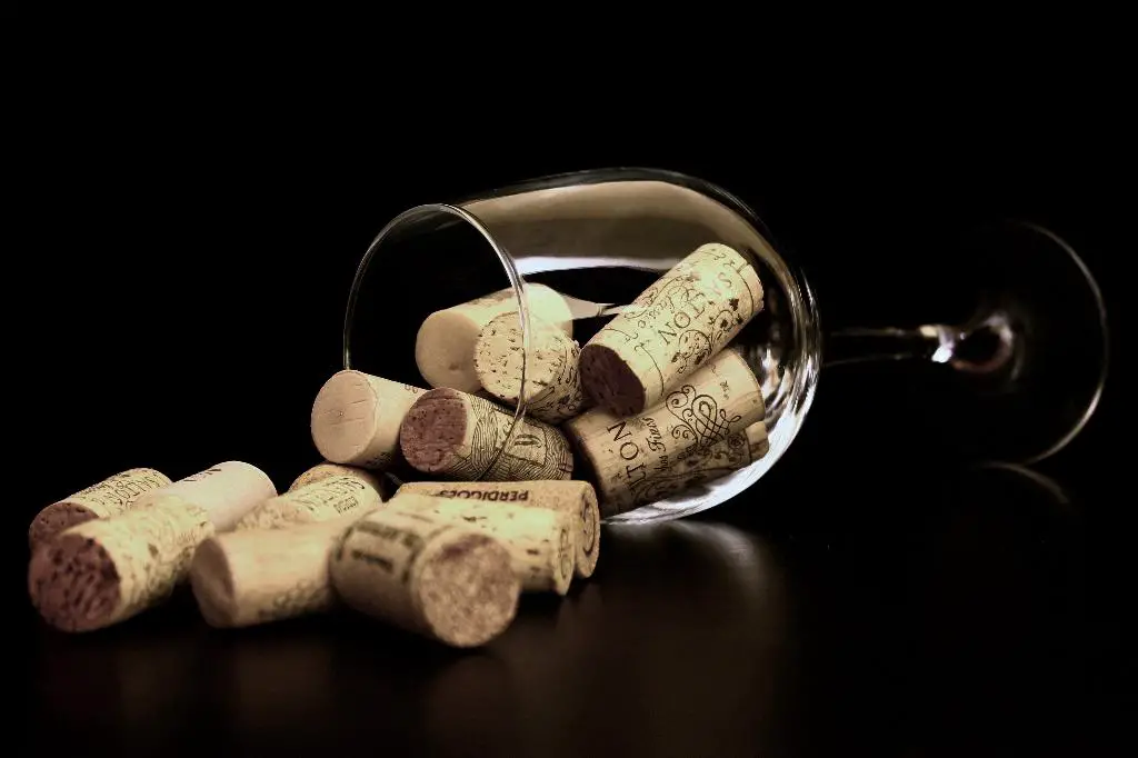 Which Wine Is Least Acidic?