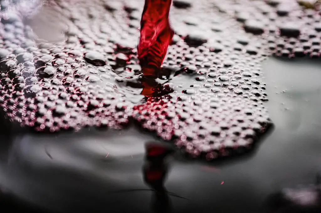 What Wine Does LVMH Own?