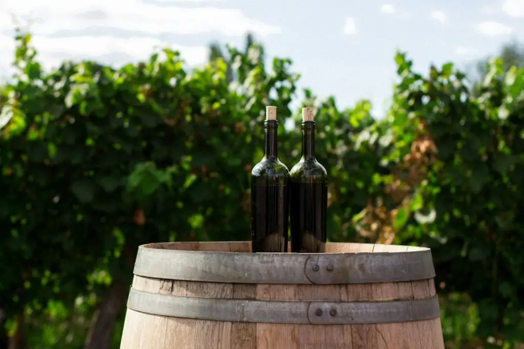 Is 50 Degrees Too Cold For Red Wine?