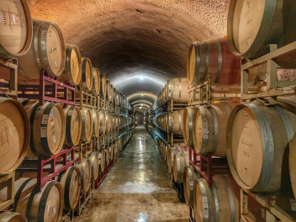 What Is The Prefix Oen In Wine?
