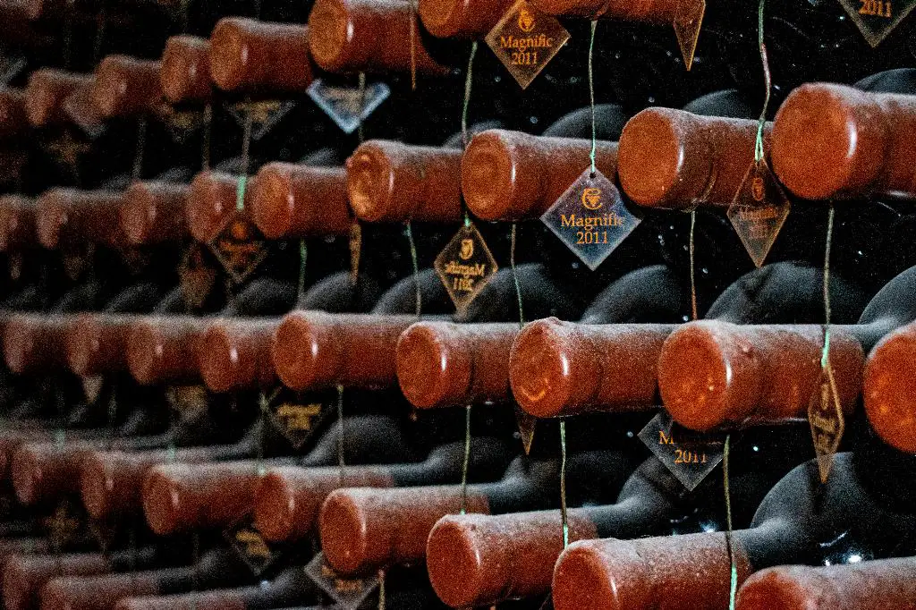 Does Falernian Wine Still Exist?