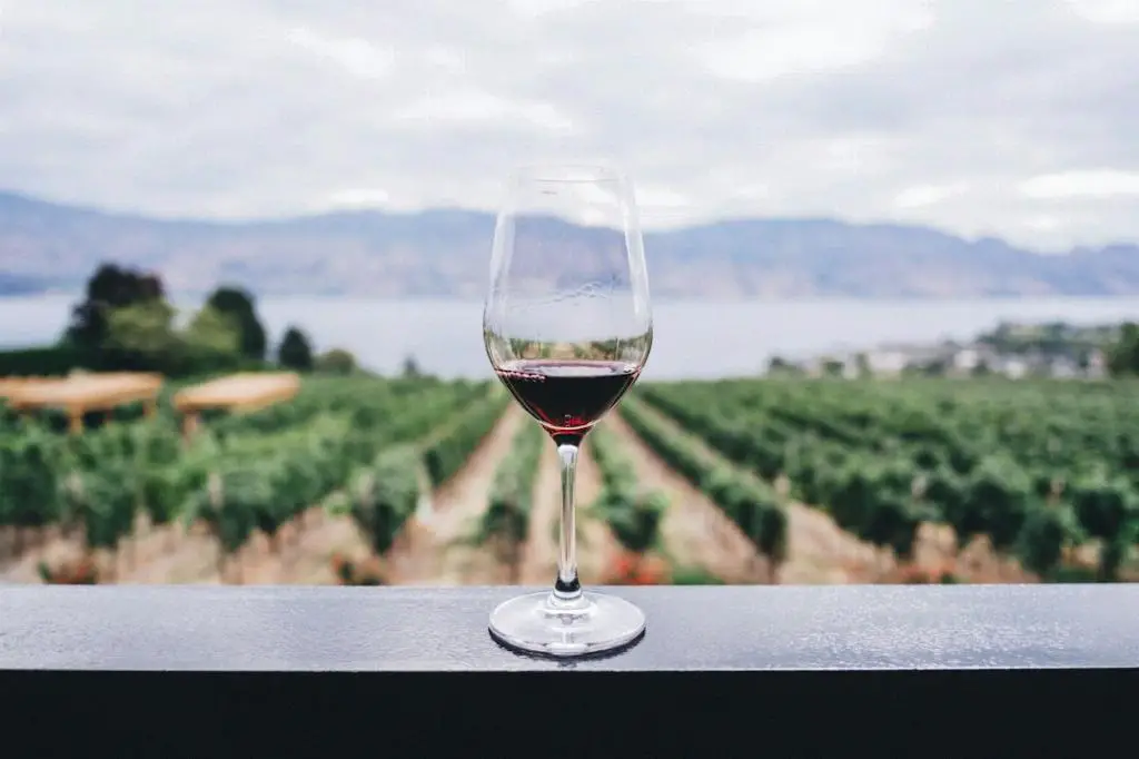 How Many Calories Are In A 6 Oz Glass Of Pinot Grigio?