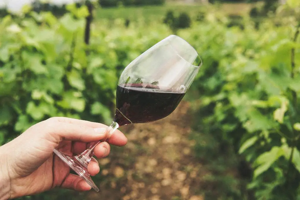 What Is Spirit Of Wine Called?