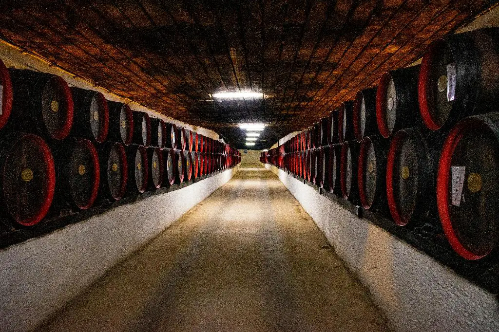 What Is The Most Famous French Burgundy?
